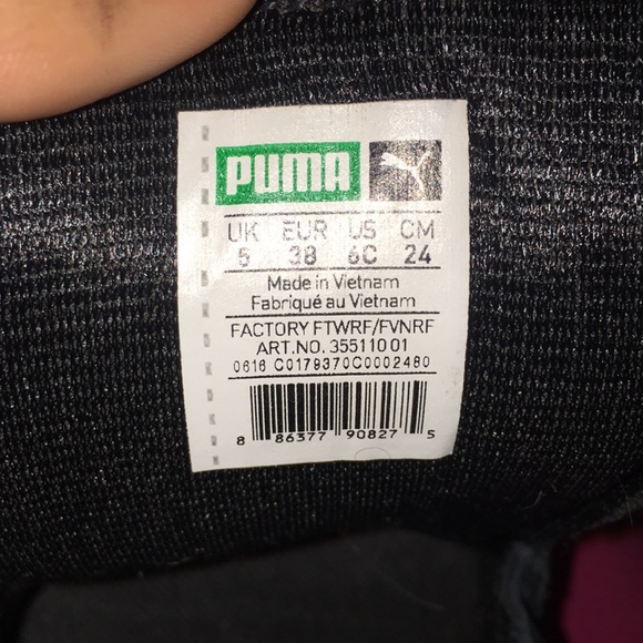 Pumas - Picture 2 of 4